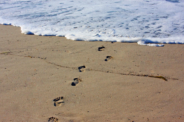 Footprints in the sand...