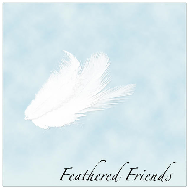 feathered friends 2.jpg