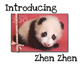 zhen.jpg