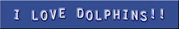 labelmaker3.jpg