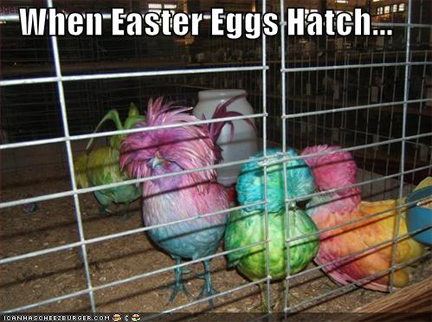 easter-eggs.jpg