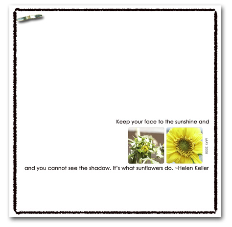 sunflower-72.jpg