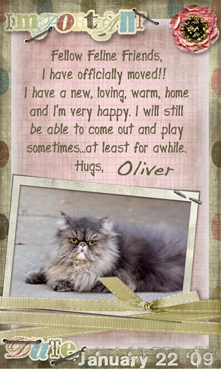 oliver-moved-copy1