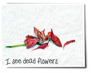 dead-flower1