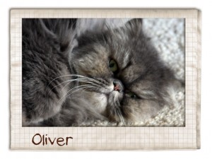 Oliver