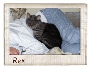 Rex 2